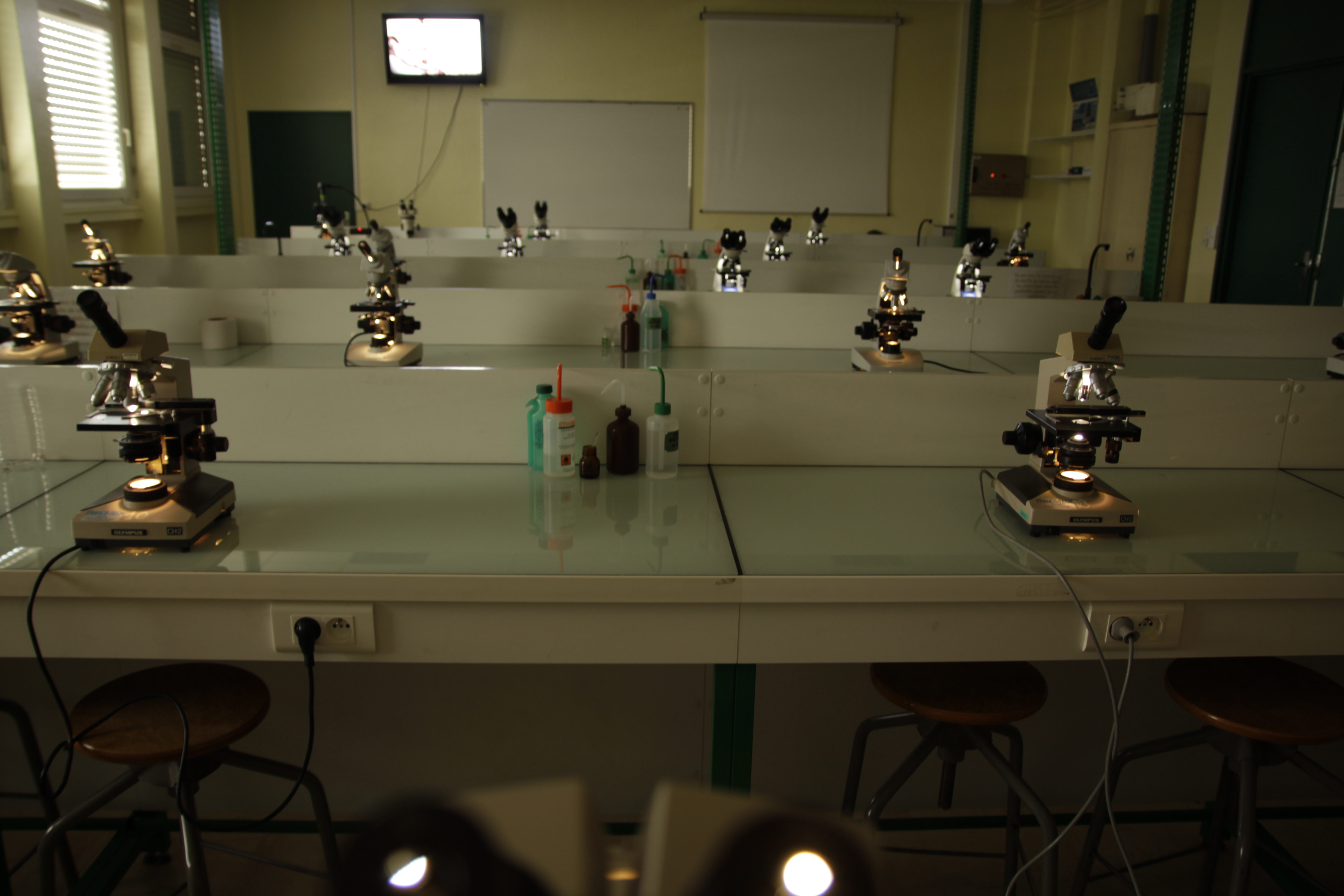 Salle n°1
