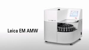 AMW