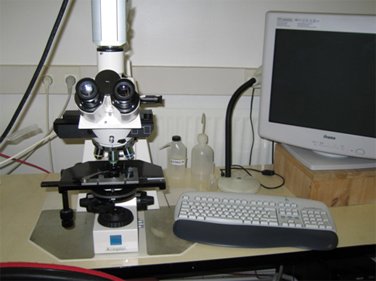 Microscope droit Axio plan ZEISS equipé d'une caméra CDD couleur