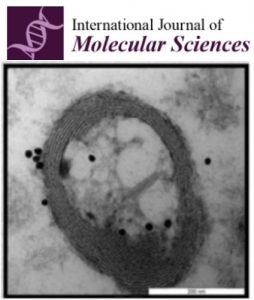 Publication ImageUP
