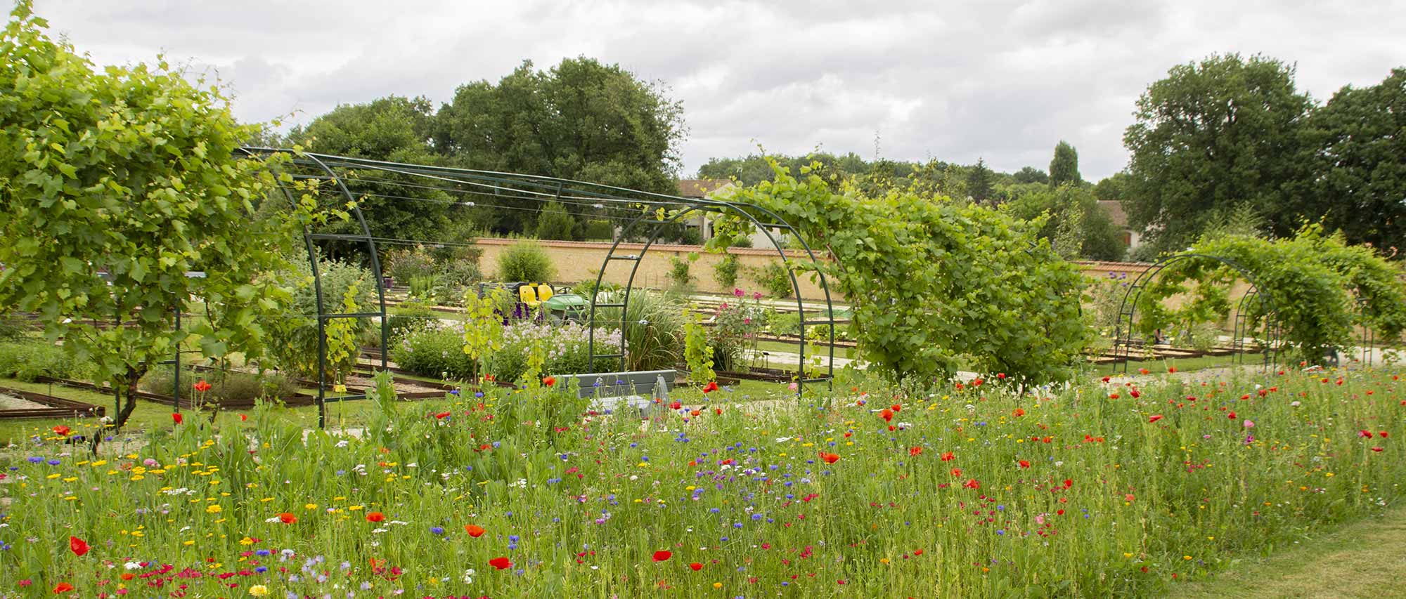 Jardin botanique universitaire (domaine du domaine du Deffend à Mignaloux-Beauvoir)